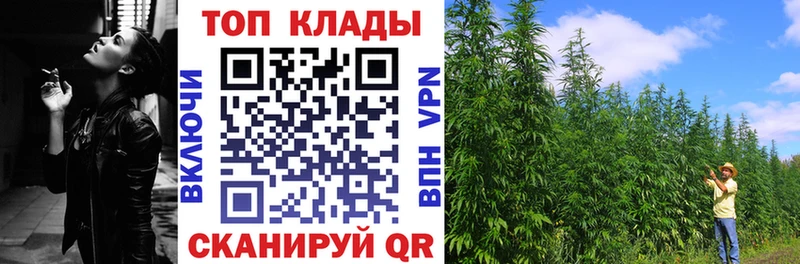Альфа ПВП Поворино