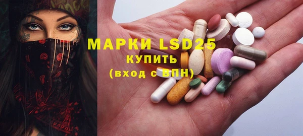 гашик Майский