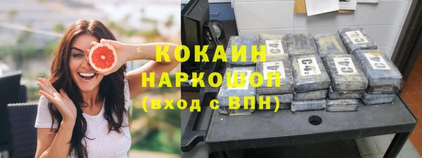 гашик Майский