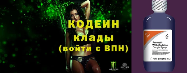 индика Липки