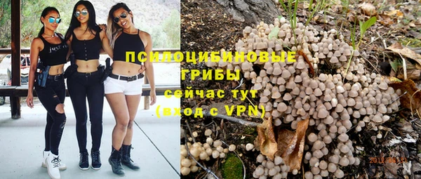 таблы Лиски