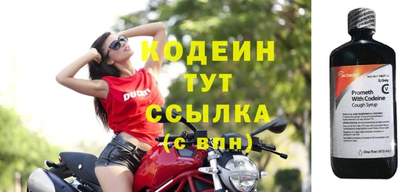 гашик Майский